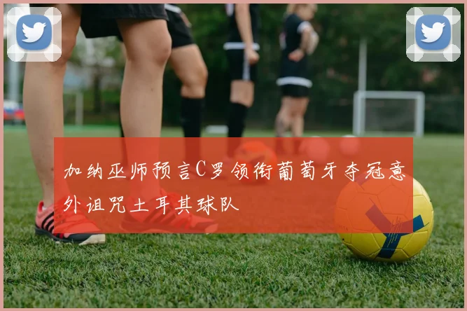 加纳巫师预言C罗领衔葡萄牙夺冠意外诅咒土耳其球队