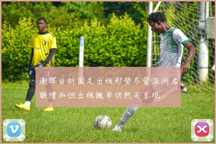 谢晖分析国足出线形势尽管亚洲名额增加但出线概率仍然不乐观